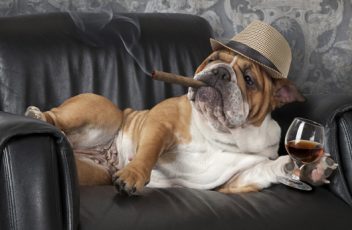 Screen Shot 2017-04-08 at 2.59.11 PM